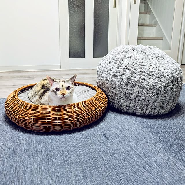 kohakuさんの実例写真