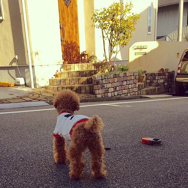 a-tanさんの実例写真