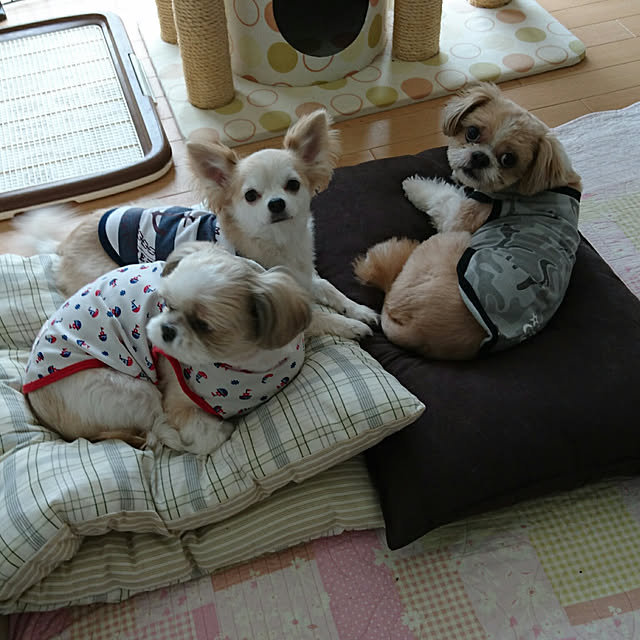 ronさんの実例写真