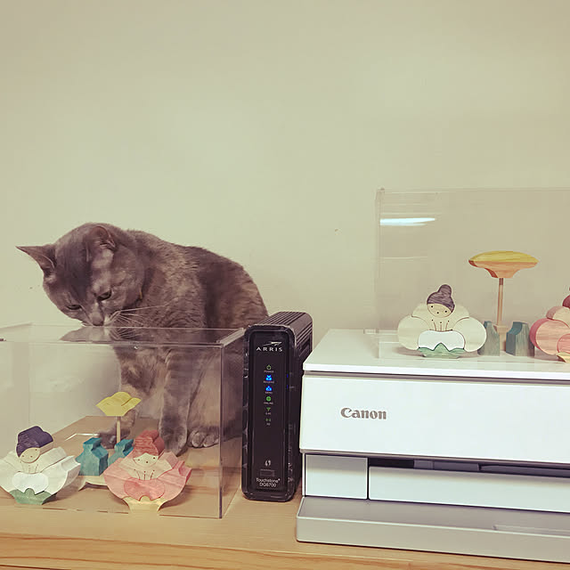rurirurirubyさんの実例写真