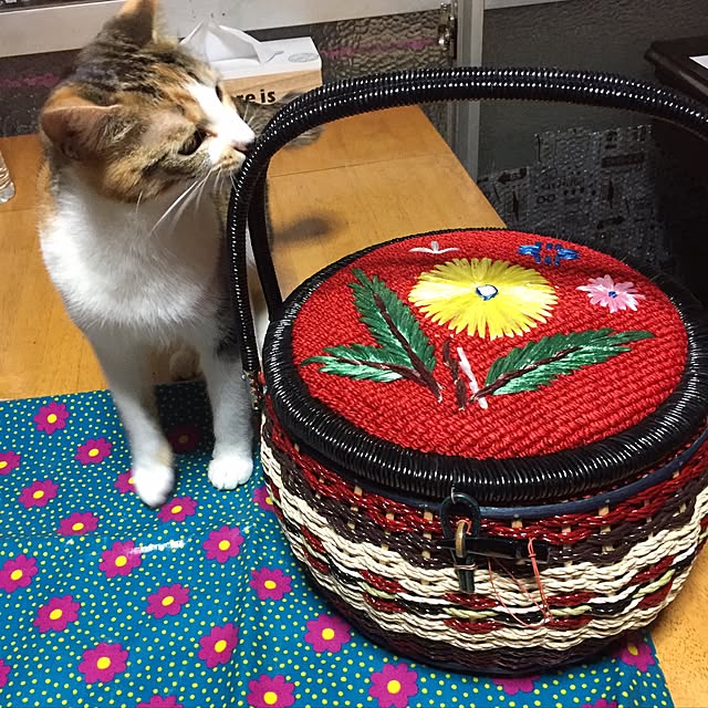 vivienne.coco-keiさんの実例写真