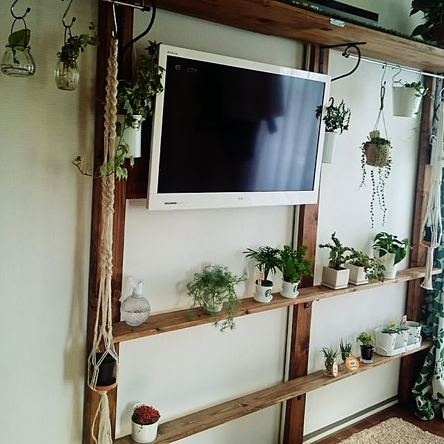 springcanolaさんの実例写真