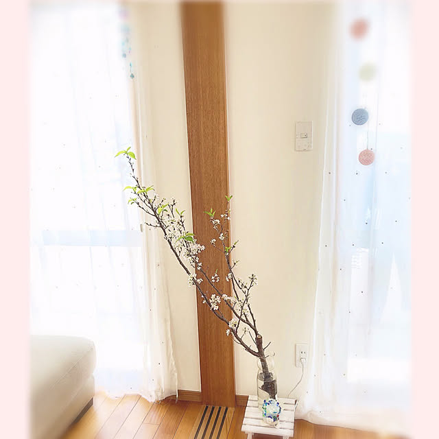 hatsu.0202さんの実例写真