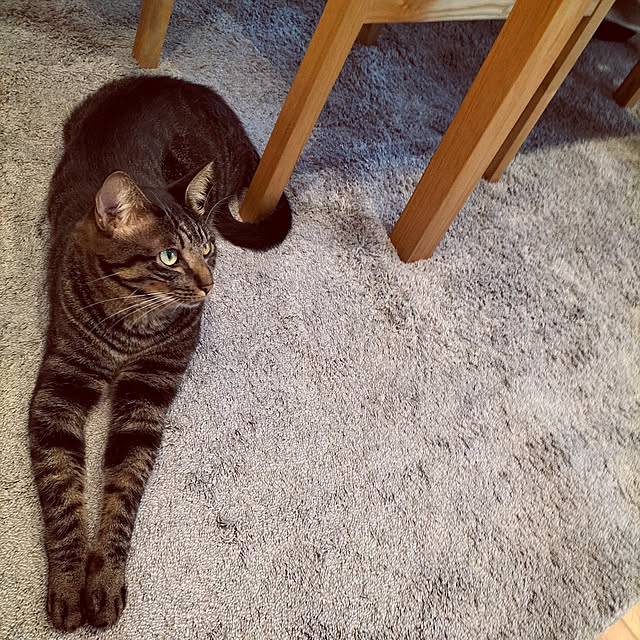 hihaさんの実例写真