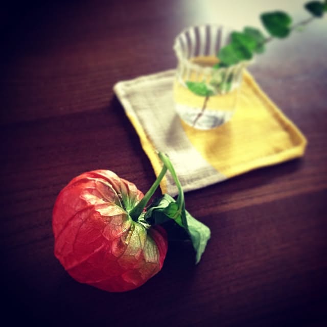mokurollさんの実例写真