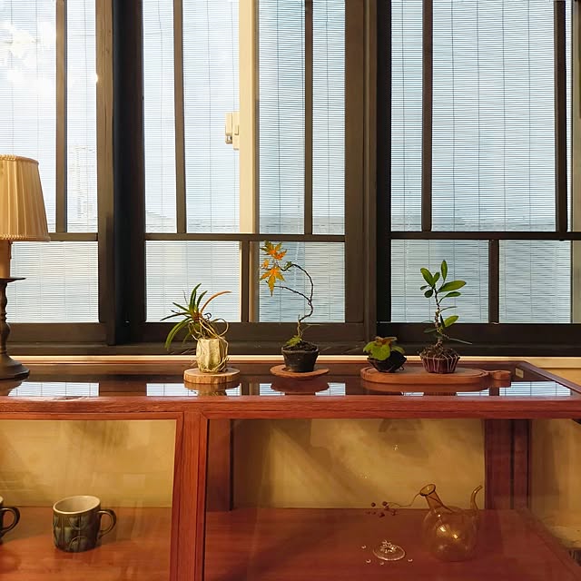petitesplumesさんの部屋