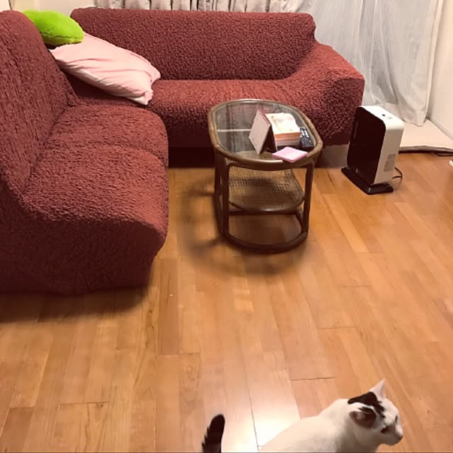 NAOMINさんの実例写真