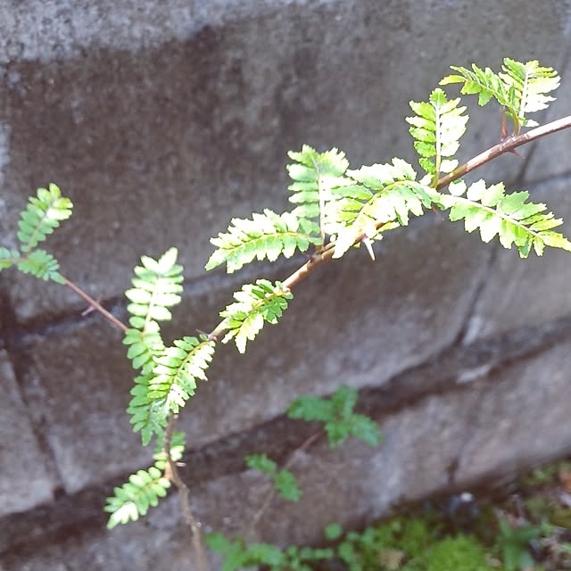 hiro.904さんの部屋