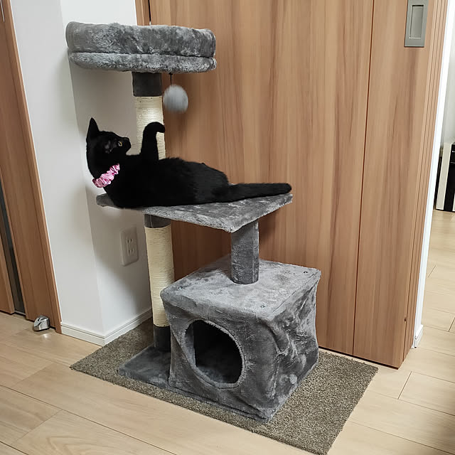 sakuraさんの実例写真