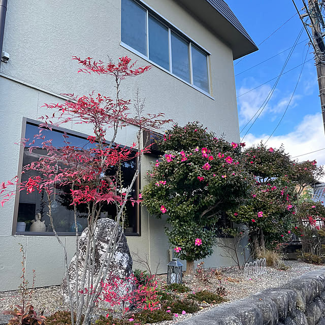 shin0719さんの実例写真