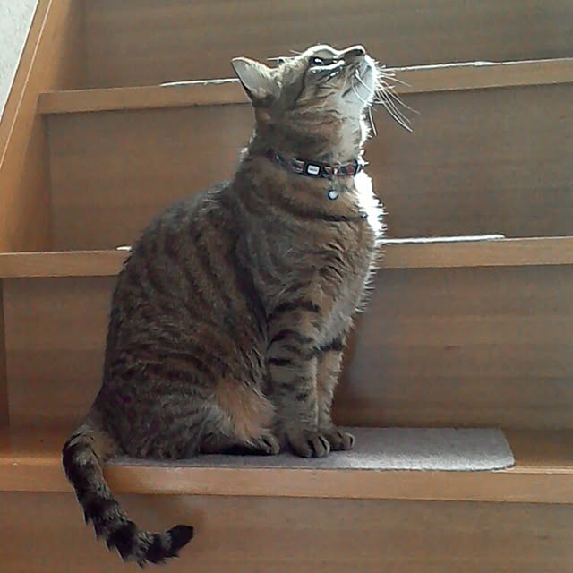 taeさんの実例写真