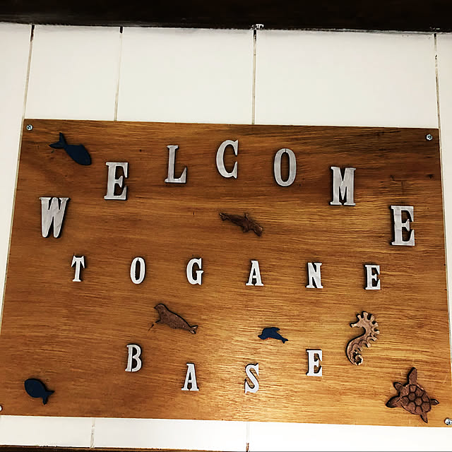 toniさんの実例写真