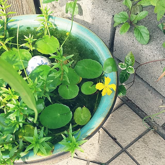 marimariさんの部屋