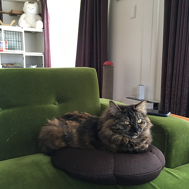 mikomaruさんの実例写真