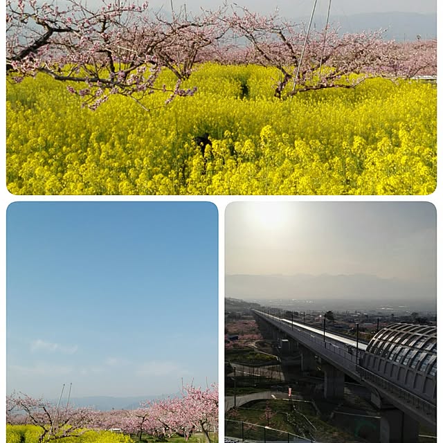 maikoさんの実例写真