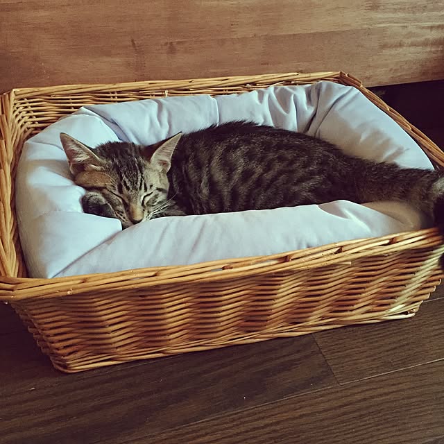 minoriさんの実例写真