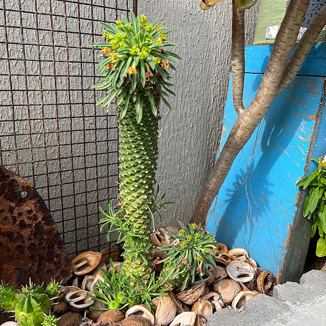 asさんの部屋