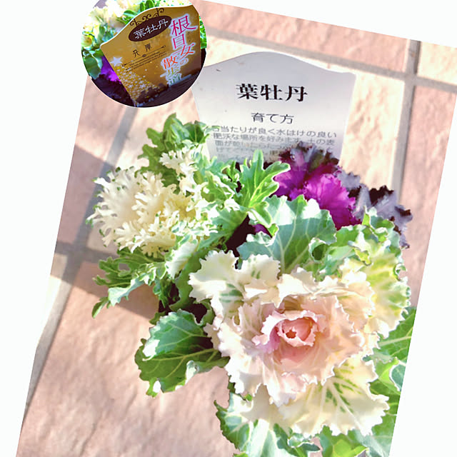 hinamamaさんの実例写真