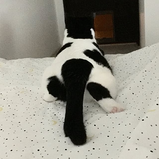 neuruさんの実例写真