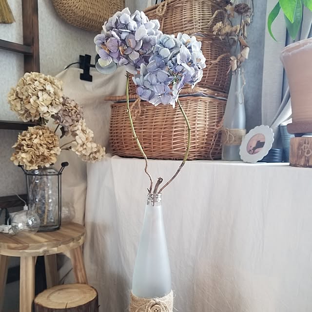 midoriさんの部屋