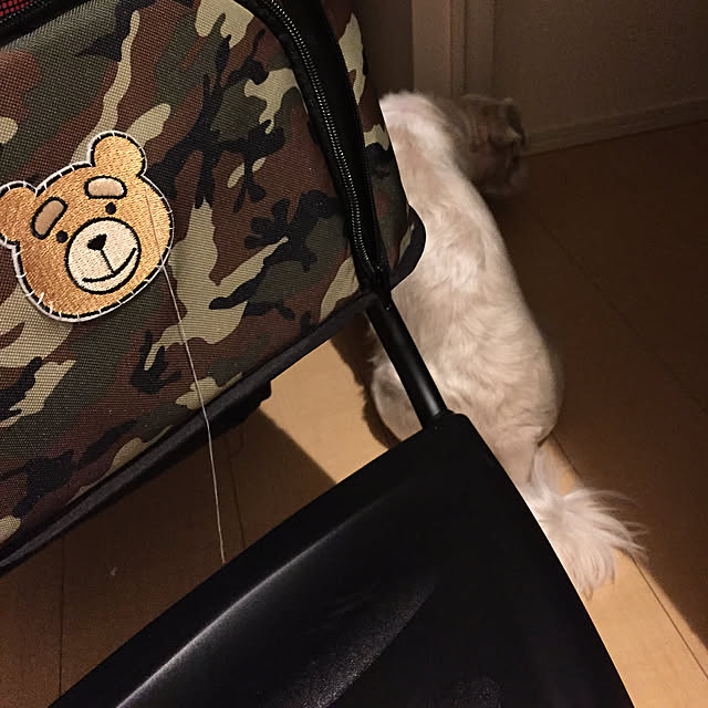 emiさんの実例写真