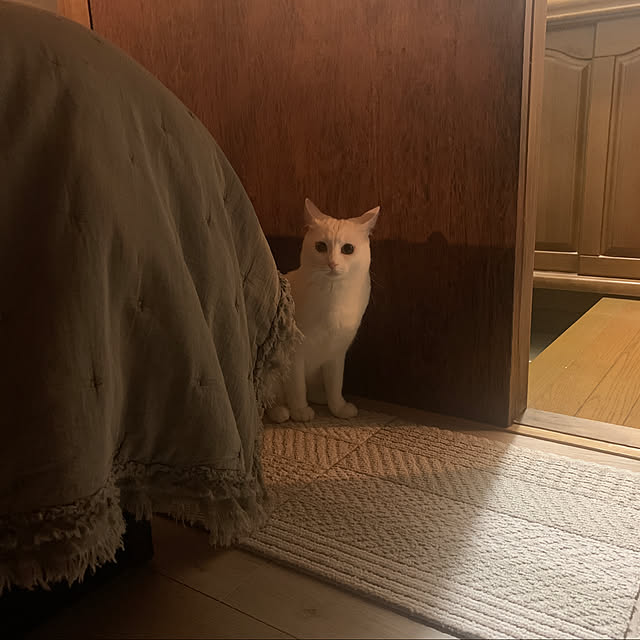 keiさんの実例写真