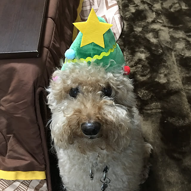 ronmaruさんの実例写真