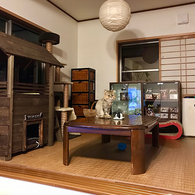 butachanさんの実例写真