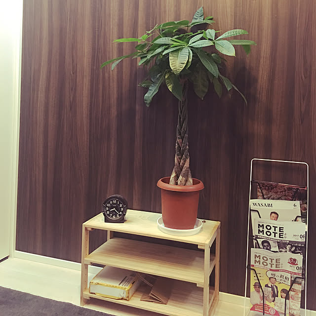 壁/天井/観葉植物/一人暮らしのインテリア実例 - 2017-09-19 08:22:08