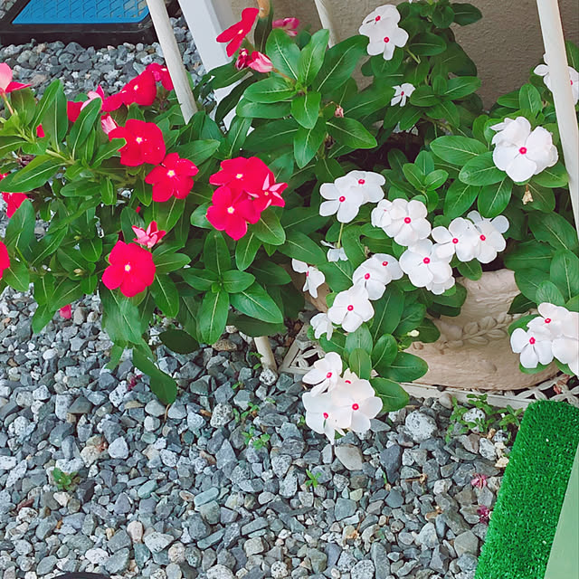 me-koさんの実例写真