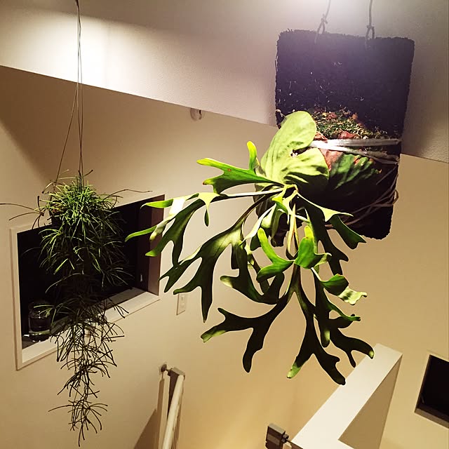 tabatyさんの実例写真