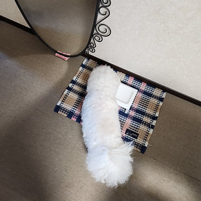 takoさんの部屋