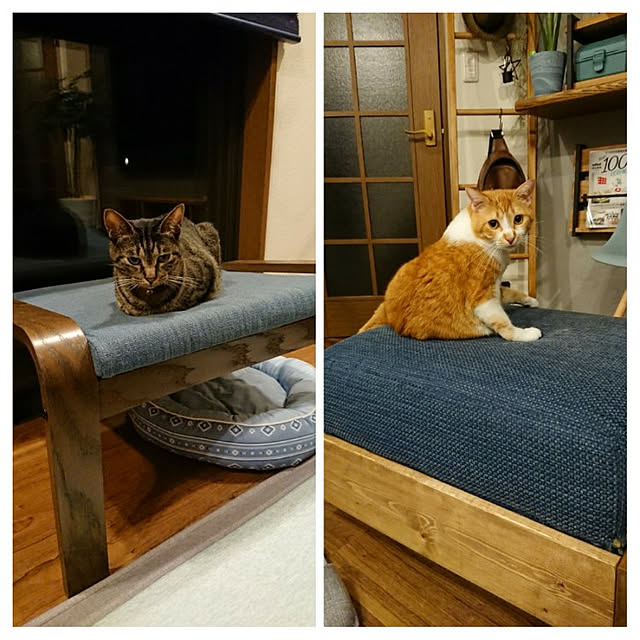 taka-kiさんの実例写真