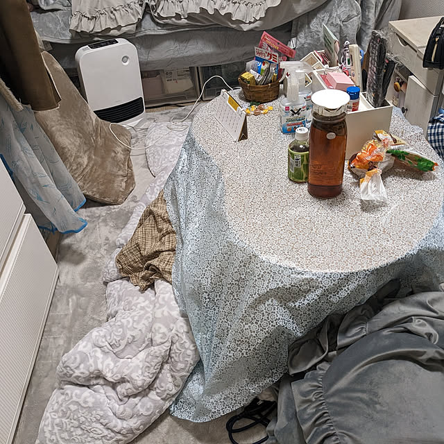部屋全体のインテリア実例 - 2023-01-08 23:56:20