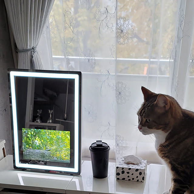 soratotetoさんの実例写真