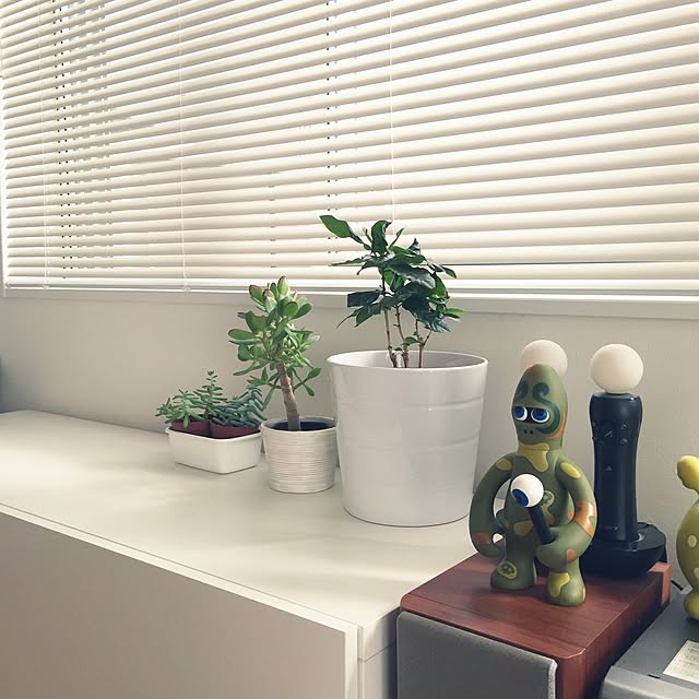 moppoさんの実例写真