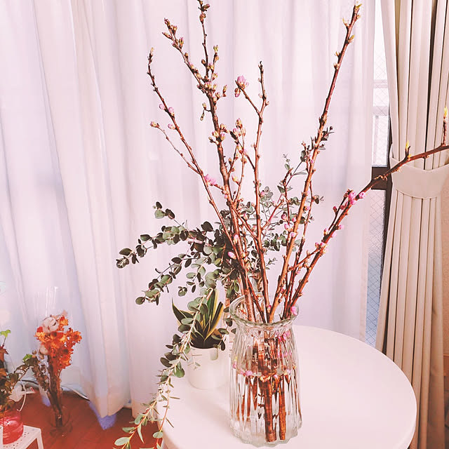 机/homesweethome/植物のある暮らし/一人暮らし/ガーリールーム...などのインテリア実例 - 2022-02-27 17:25:48