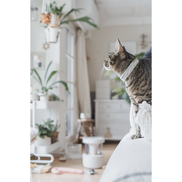 oliveさんの部屋
