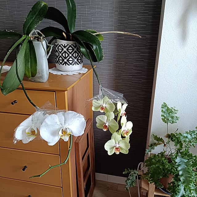 reko639さんの部屋