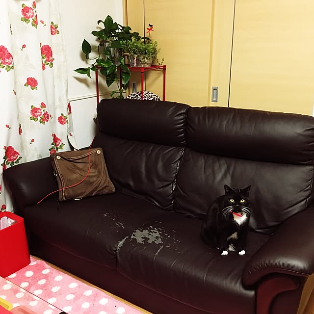Hecacoさんの実例写真