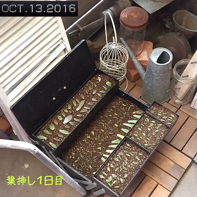 natulove0418さんの実例写真
