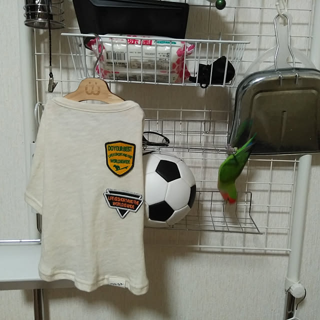 toratanさんの実例写真