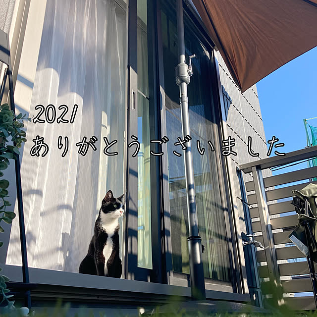 mako2yaさんの実例写真