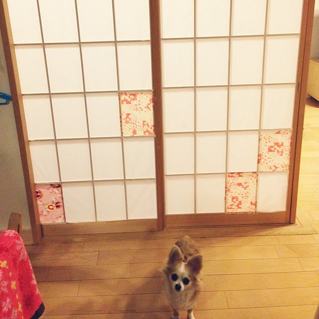naja..bmさんの実例写真
