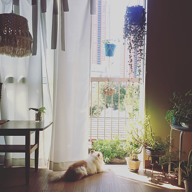 MAISON821さんの実例写真