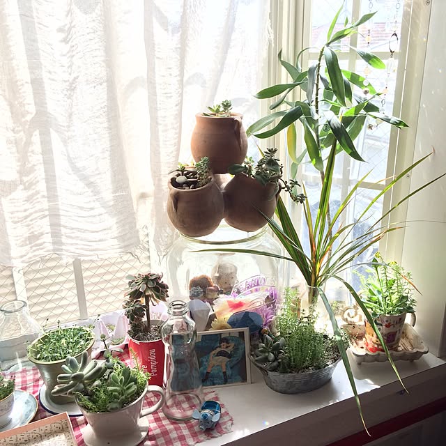 ayaco_cucirinaさんの実例写真