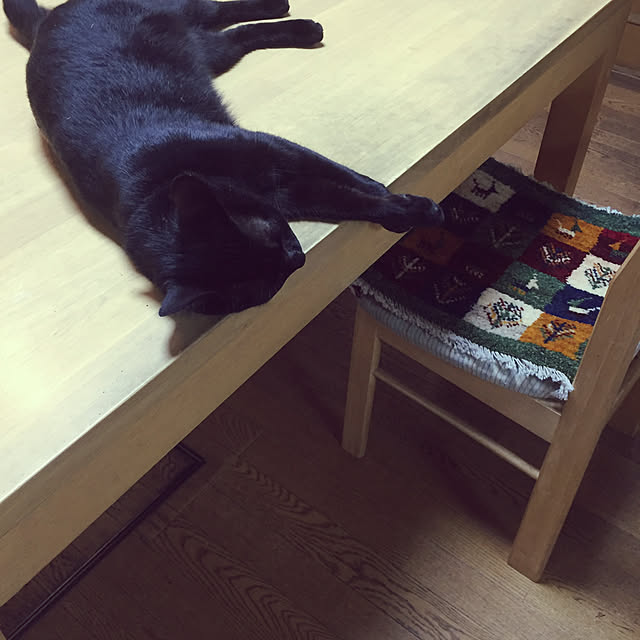 koti11さんの部屋
