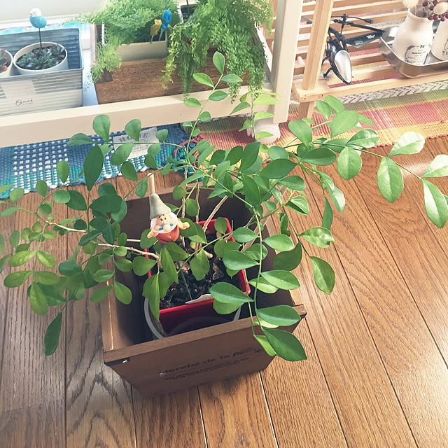 takakoさんの実例写真