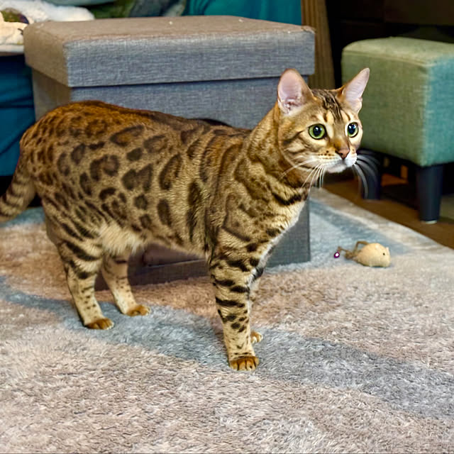 tututu0204さんの部屋