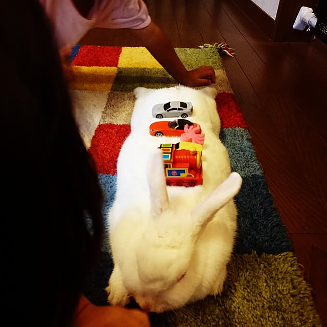 pepeさんの実例写真